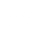 wordpress-130x130